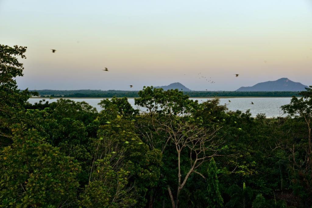 Ceylan Lodge Anuradhapura Luaran gambar